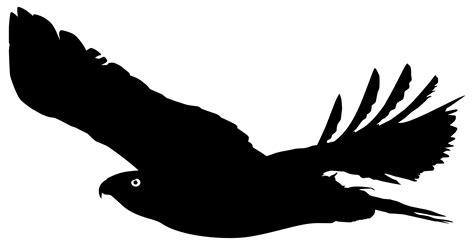 Silhouet Van De Vliegend Vogel Van Prooi Valk Of Havik Voor Logo