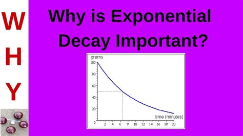 Exponential Decay Youtube