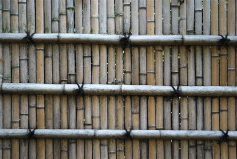 Bamboo Wall Free Photo Download Freeimages
