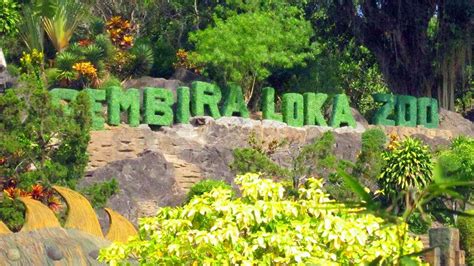 √ GEMBIRA LOKA ZOO: Aktivitas & Tiket Masuk 2022