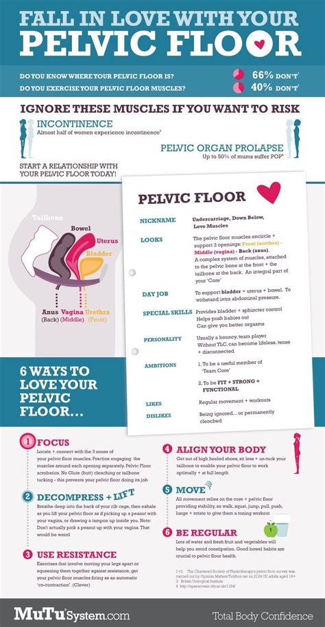 Your Pelvic Floor The Infographic Pelvic Floor Pelvic Floor Exercises Floor Workouts
