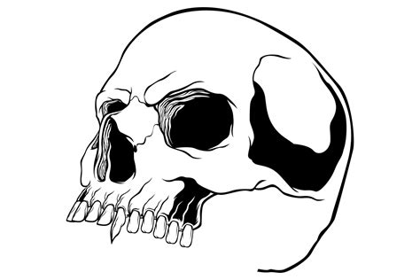 Skull Vector Illustration Graphic By Epicgraphic · Creative Fabrica