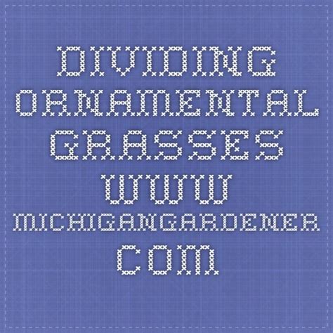 Dividing Ornamental Grasses Michigangardener Com Feather Reed Grass