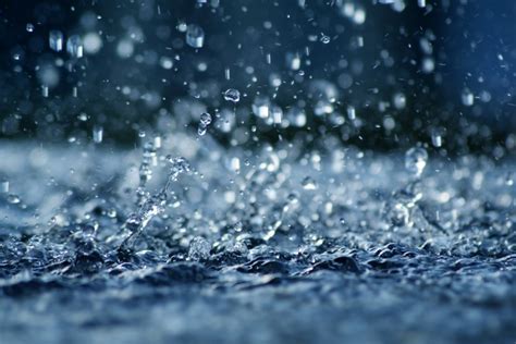 #garoadinhachallenge #kk #chuva #sc e na sua cidade,tá garoando? Irrigação de jardins: a importância da captação da água da ...