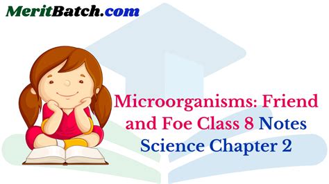 Microorganisms Friend And Foe Class 8 Notes Science Chapter 2 Merit
