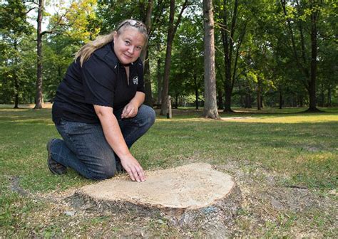 Harsh Winters Dry Summers Stressing Trees Brantford Expositor