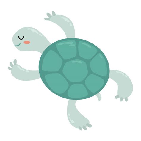 90 Funny Sea Turtle Clip Art Illustrations Royalty Free Vector