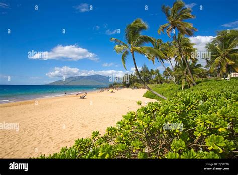 Kamaole Beach Park 1 Palm Trees And Beautiful Stretch Of Sand W Maui