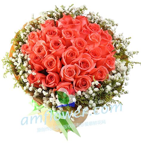 Search for text in url. 爱慕鲜花 - 鲜花百科: