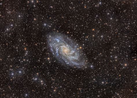 M33 Triangulum Galaxy Astroveto