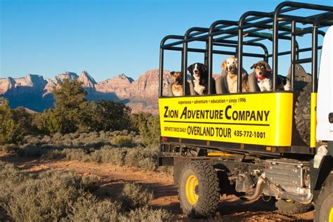 Vote Best Dog Friendly Tour Or Activity Nominees 2016 10best Readers