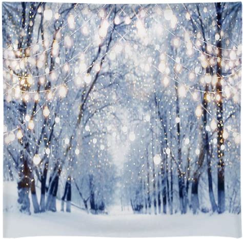 Zoom Backgrounds Winter Wonderland Christmas Pictures Background For