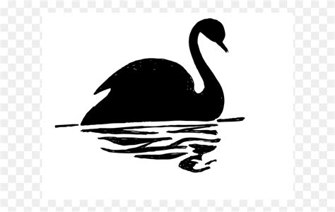 Black Swan Bird Drawing Bird Animal Hd Png Download Flyclipart