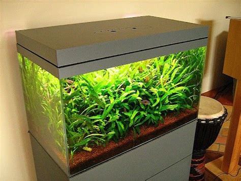 Tanks, filters, lighting, food & more at that fish place. Fish Tank Hood V.2 | Diy fish tank, Fish tank, Diy aquarium