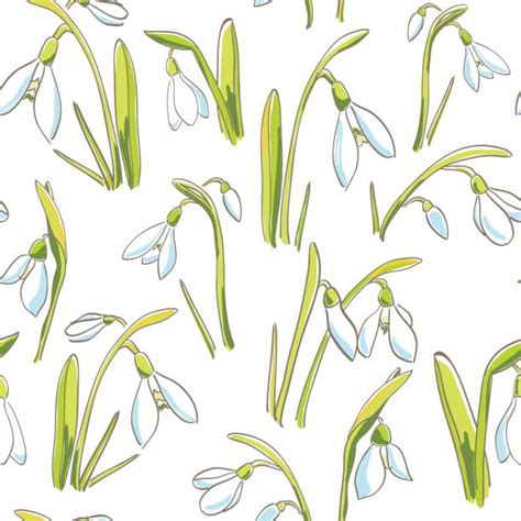 Royalty Free Snowdrop Clip Art Vector Images And Illustrations Istock