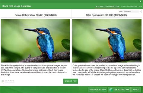 Black Bird Image Optimizer Pro 2020 Free Download All Pc World