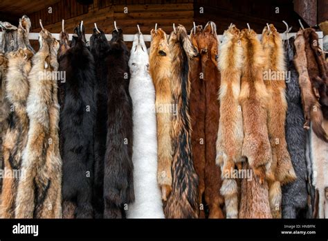 Animal Hides For Sale Animal Hides And Skins The Jelling Dragon