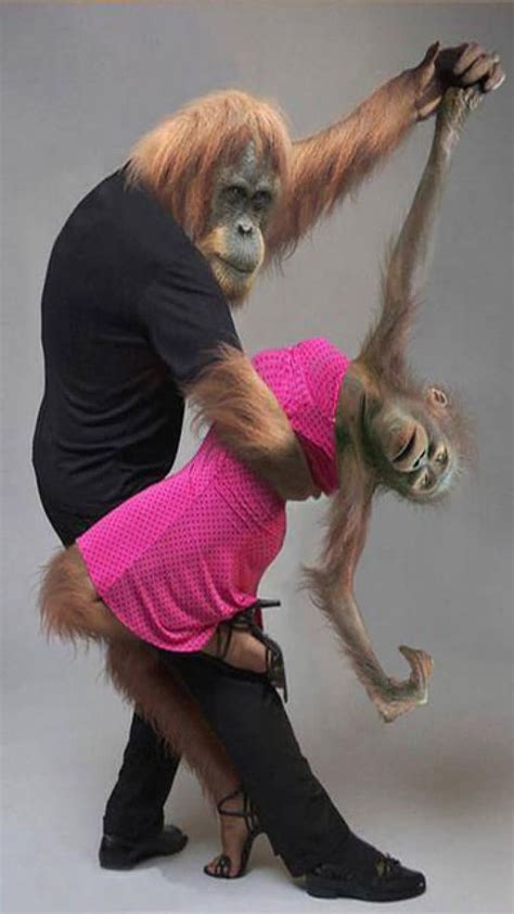Major lazer) they say, oh my god, i see the way you shine. Funny Monkey Couple Images