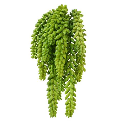Artificial Donkey Tail Bouquet 30 Cm Maxifleur Artificial Plants And