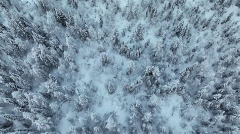 An Aerial Footage Of A Winter Landscape And Snow Covered Trees · Free