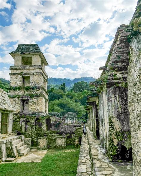 Conoce La Zona Arqueológica De Palenque Viaja Chiapas