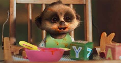 Baby Oleg Eating His Curry Compare The Meerkat Pinterest Babies