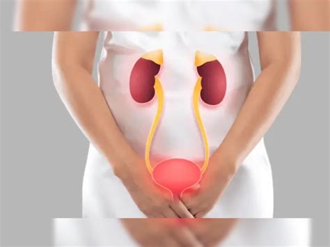 Urinary Tract Infection Know About Its Symtoms And Treatment Urinary Tract Infection
