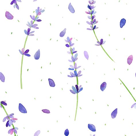 Lavender Pattern Watercolor Graphic Patterns ~ Creative Market