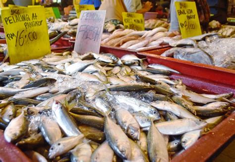 Price per lb app / cost per pound. Price of Mackerel per Kg by Product - Sardine Fish ...