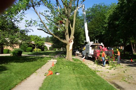 It is also vital that any company is compliant with osha work safety rules, as well as your state's department of transportation regulations. Sharp Tree Service | Marietta - Sandy Springs - Roswell ...