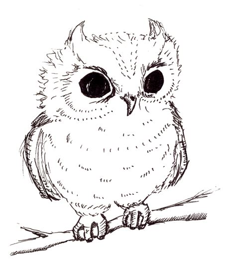 How To Draw A Cute Baby Owl Step By Step