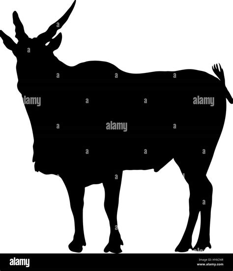 Silhouette Of A Standing Eland Antelope Stock Vector Image And Art Alamy