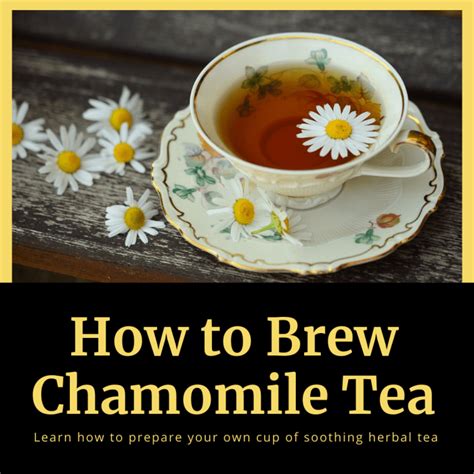 How To Prepare And Brew Chamomile Tea Delishably Food And Drink