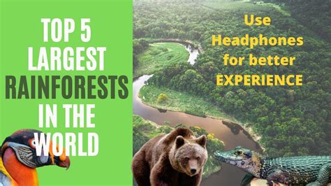 Largest Rainforests In The World Explore Amazing And Greatest