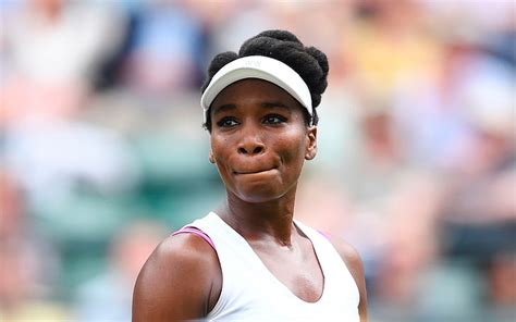 Tenis Venus Williams Estadounidense Fondo De Pantalla Hd