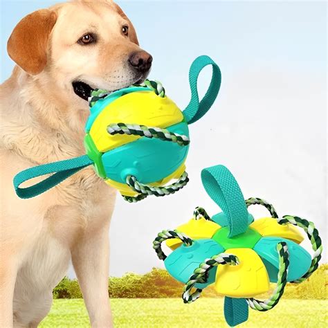 Interactive Flying Disk Ball Dog Toy Usamerica Shop