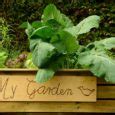 10 Ideal Garden Edging Ideas That Will Surprise You Gardening Sun