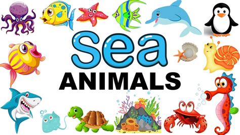 Learn Sea Animals Names For Kids Video Flash Cards Kindergarten