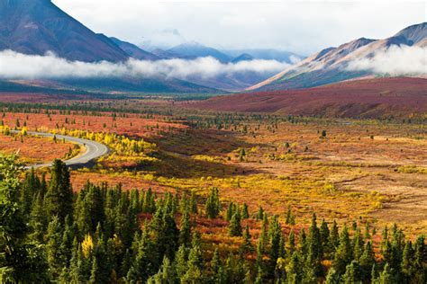 23 Best Places To See Fall Foliage In Alaska For 2016