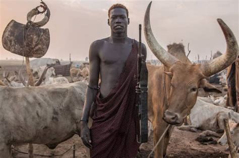 The Dinka System Of Marriage Where 100 Cattles Are Paid As Dowry