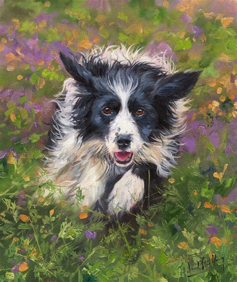 Border Collie Painting By David Stribbling Fine Art America