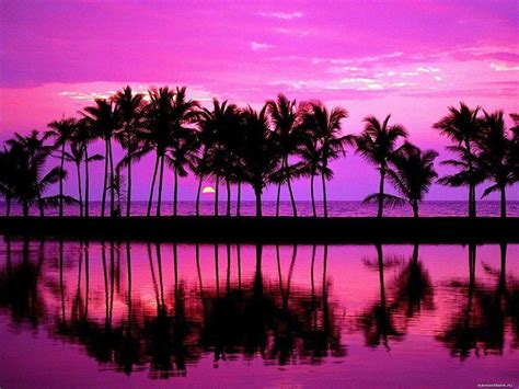 Purple Beach Sunset Desktop Wallpapers Top Free Purple Beach Sunset