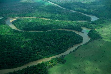 Rupununi Region And River Guyana Lac Geo