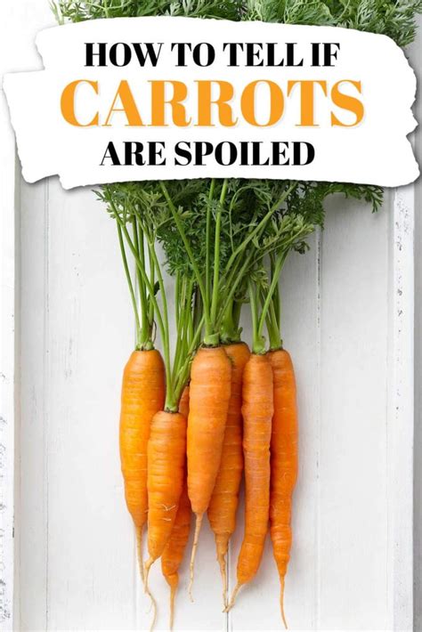 Easy Ways To Tell If Carrots Are Bad 2024 Atonce