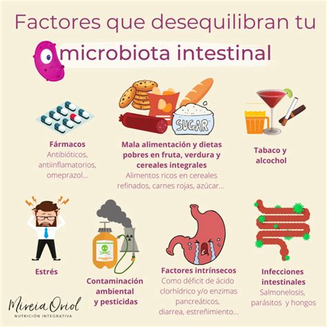 Factores Que Favorecen Tu Microbiota Intestinal Mireia Oriol