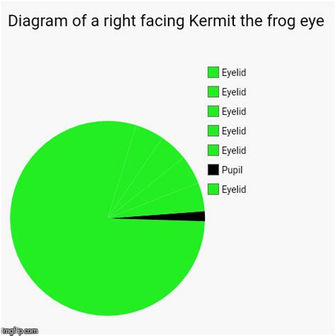 Видео eyelid flip канала jdflipskater10. Diagram of a right facing Kermit the frog eye - Imgflip