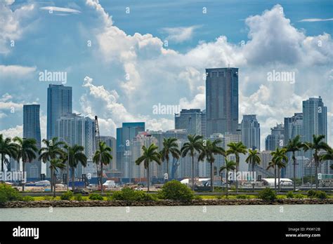 Skyline High Rises Miami Downtown Palm Trees Clouds Above Hi Res Stock