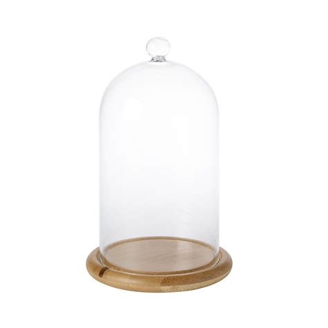 Regular Glass Dome Bell Jar 20cm Uk