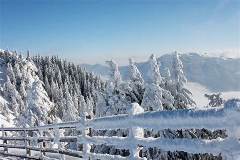 Winter In Romanian Mountain Stock Image Image Of Forest Landscape