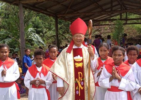 Filipino Priest In Papua New Guinea Assault Now Safe Says Bishop